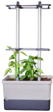 Gusta Garden CHARLY CHILI   peperkweekpot met waterreservoir en klimsteun   lichtgrijs