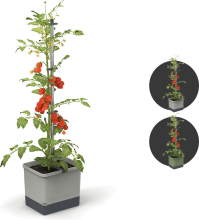 Gusta Garden TOM TOMATO   tomatenpot met waterreservoir   lichtgrijs