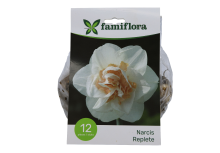Famiflora Narcis Replete   Voorjaarsbloeiers   12 bloembollen