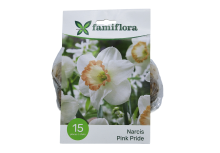 Famiflora Narcis Pink Pride   Voorjaarsbloeiers   15 bloembollen