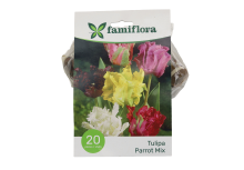 Famiflora Tulipe Parkiet Mix   Voorjaarsbloeiers   20 bloembollen