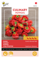 Buzzy seeds Buzzy® Culinary Peppers Scotch Bonnet Red   Zeer Hete Peper   Caribische Smaak