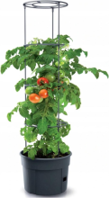 Prosperplast Tomato Grower Tomatenpot   Antraciet   Ø 29,5 cm   12 Liter