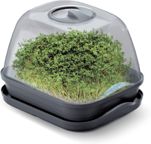 Prosperplast Respana Table Greenhouse   Kweekbak met deksel   25,7 x 19,6 cm   Antraciet