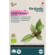 Buzzy seeds Buzzy Organic Zaden Kaneelbasilicum (BIO)   0,5 gr   Ocimum basilicum
