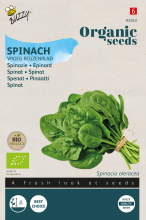 Buzzy seeds Buzzy® Organic Spinazie Zaden (BIO)   Vroeg Reuzenblad   Biologisch