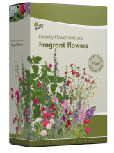 Buzzy seeds Buzzy Friendly Flowers Strooidoos   Geurende Bloemenmix   25 m²