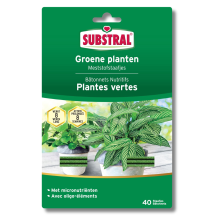 Substral meststof voor groene planten   staafjes   40 stuks