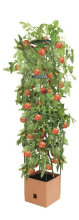 Bio Green BioGreen Tomatenpot 16L met waterreservoir    Terracotta   voor het kweken van klimplanten