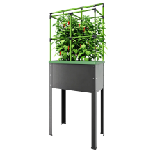 Bio Green BioGreen City Jungle Kweekbak   34 liter   Met irrigatiesysteem   Inclusief klimhulp