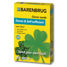 Barenbrug klavergazon 0,5kg   Lawn Clover   Creëer een zelfvoorzienend gazon