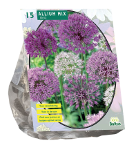 Baltus 'Allium paars wit'   voorjaarsbloeiers   Mix paars wit   15 bollen