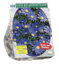 Baltus 'Anemone Blanda'   Blauw   voorjaarsbloeiers   100 bollen