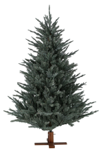 Our Nordic Christmas Arkansas Frosted Blue kunstkerstboom   183 cm   Blauw   Diameter 127 cm   2166 tips   Houten voet