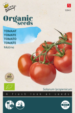Buzzy seeds Buzzy® Bio Tomaten zaden   Matina