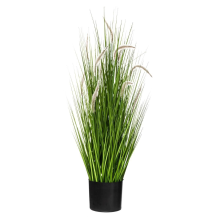 Atmosphera siergras groen H100cm