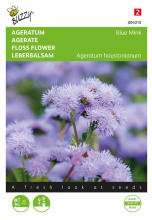 Buzzy seeds Buzzy   Ageratum zaden   Blue Mink