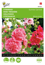 Buzzy seeds Buzzy® Stokroos zaden   Summer Carnival