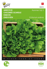 Buzzy seeds Buzzy® Andijvie zaden   Nummer Vijf