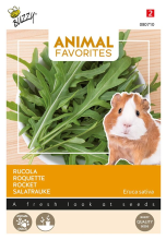 Buzzy seeds Buzzy Animal Favorites Rucola voor Cavia's