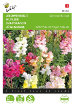 Buzzy seeds Buzzy® Leeuwenbekje zaden   Half   hoge   gemengd