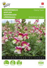 Buzzy seeds Buzzy   bloemzaden   Antirrhinum, Leeuwenbekje Cherry Twist