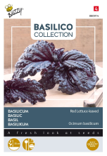Buzzy seeds Buzzy® Basilicum zaden   a foglia violetta di lattuga