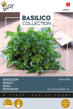 Buzzy seeds Buzzy Basilicumzaden 'Greek Basil Bush Ball'   very fine leaved