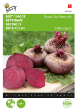 Buzzy seeds Buzzy® Biet / Kroot zaden   Egyptische Platronde