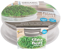 Buzzy Grow Buzzy® Bio Knip & Eet   rucolakers zaden in glazen schaal