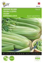 Buzzy seeds Buzzy® Bladselderij Pascal zaden   Groene Volpijp