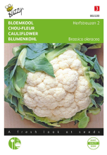 Buzzy seeds Buzzy® Bloemkool zaden   Herfstreuzen