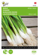 Buzzy seeds Buzzy® Bosui zaden   White Lisbon
