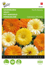 Buzzy seeds Buzzy® Goudsbloem zaden   Pacific Beauty   gemengd