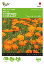 Buzzy seeds Buzzy® bloemzaden    Goudsbloem   Ball’s Orange