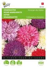 Buzzy seeds Buzzy® Zomeraster zaden   Koningin der Hallen   gemengd