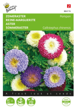 Buzzy seeds Buzzy® Zomeraster zaden   Pompon   gemengd