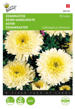Buzzy seeds Buzzy® Zomeraster zaden   Prinses   goudgeel