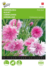 Buzzy seeds Buzzy® Korenbloem zaden   Pink Ball