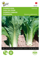 Buzzy seeds Buzzy® Chinese Kool zaden   Granaat
