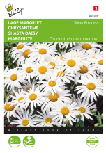 Buzzy seeds Buzzy® Lage Margriet zaden   Silver Princess