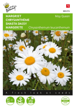 Buzzy seeds Margriet zaden   May Queen