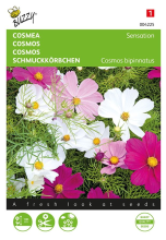Buzzy seeds Buzzy® bloemzaden   Cosmea   Sensation