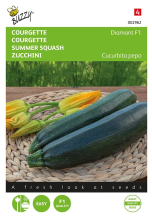 Buzzy seeds Buzzy® Courgette zaden   Diamant F1   origineel Peto strain