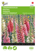 Buzzy seeds Buzzy® Vingerhoedskruid zaden   gemengd