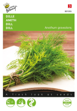 Buzzy seeds Buzzy® Dille zaden