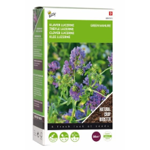 Buzzy seeds Buzzy® Groenbemester   Klaver Lucerne   200g