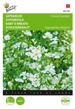 Buzzy seeds Buzzy® Gipskruid zaden   Covent Garden   wit
