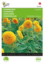Buzzy seeds Buzzy® Lage Zonnebloem zaden   Sungold