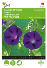 Buzzy seeds Buzzy® Klimmende Winde zaden   Ipomoea   Grandpa Ott
